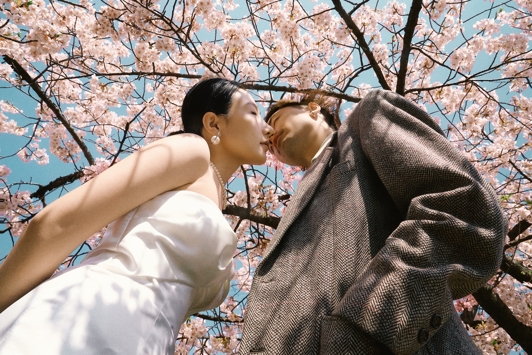 日本樱花婚纱摄影 电影感情侣照