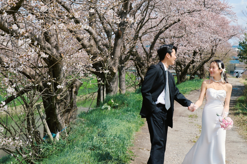 奈良の桜で撮影した日本前撮り